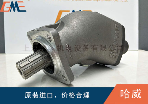 HAWE哈威液壓泵會出現(xiàn)哪些故障，如何解決？